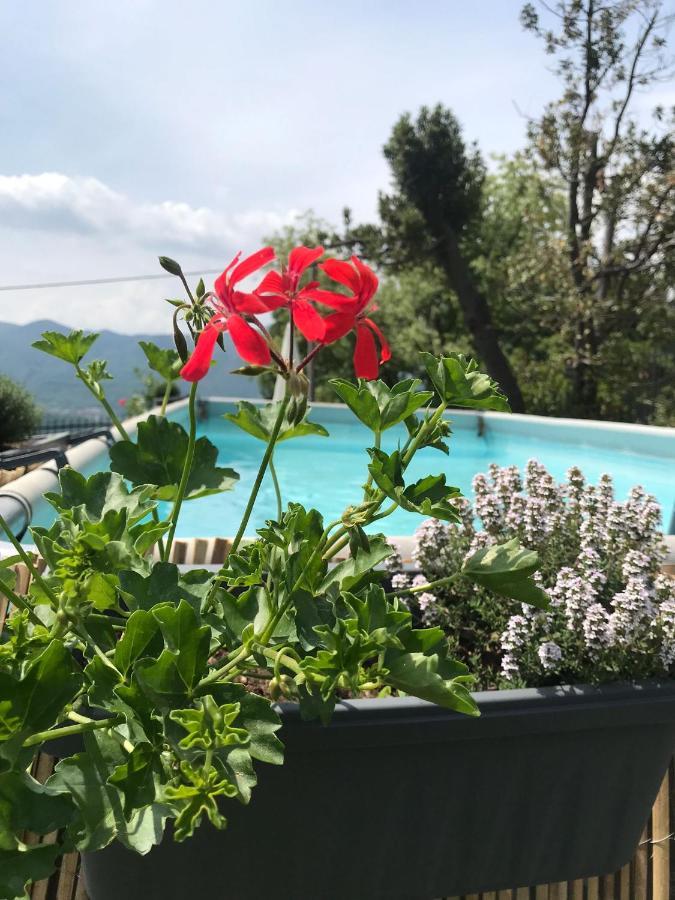 Villa Le Vignole Амено Экстерьер фото
